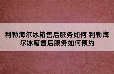 利勃海尔冰箱售后服务如何 利勃海尔冰箱售后服务如何预约